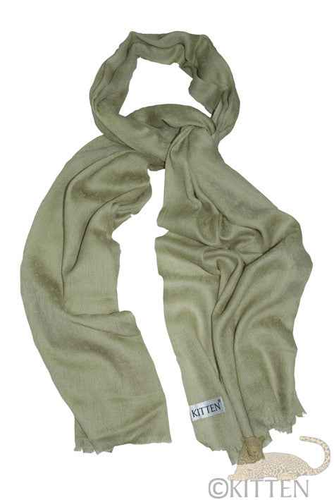 'Pistachio' Pashmina